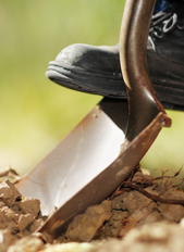 digging in dirt